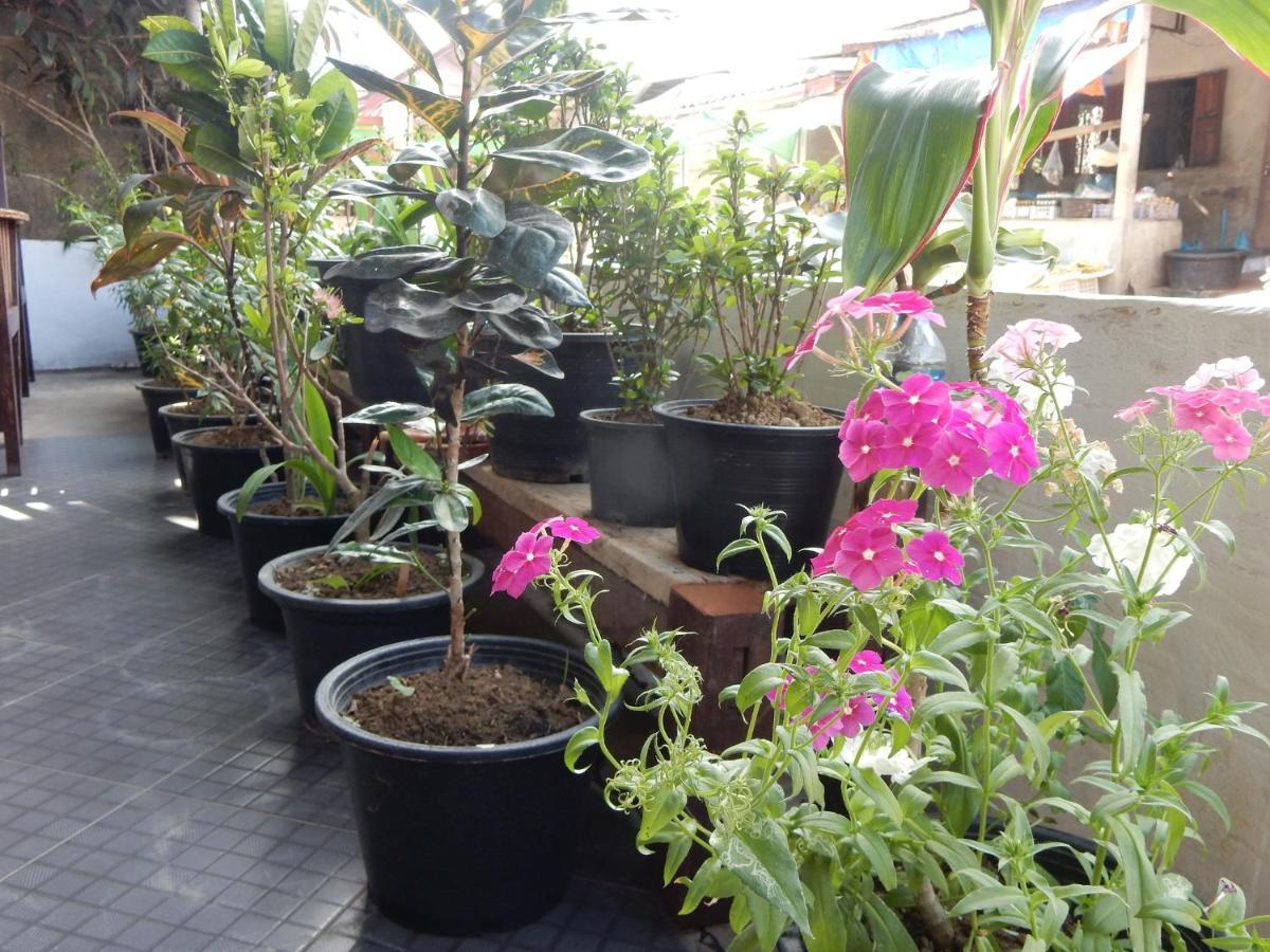 Vang Vieng Camellia Hotel Kültér fotó